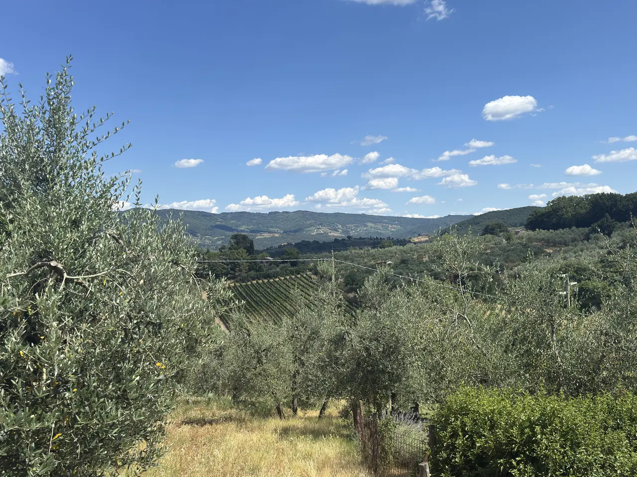 A wide view recorded near Chianti estate and olive groves on June 28, 2025.