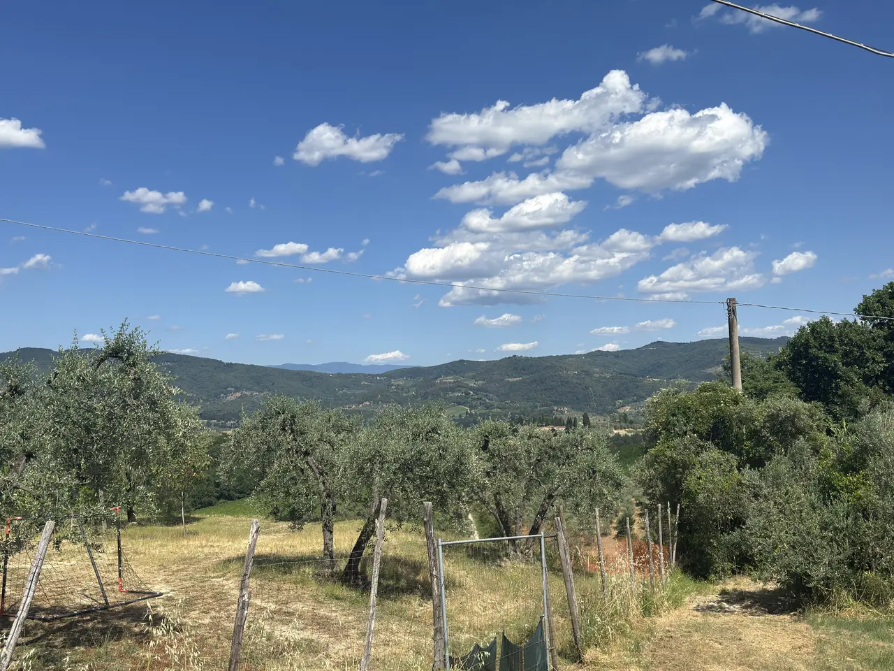 A wide view recorded near Chianti estate and olive groves on June 28, 2025.