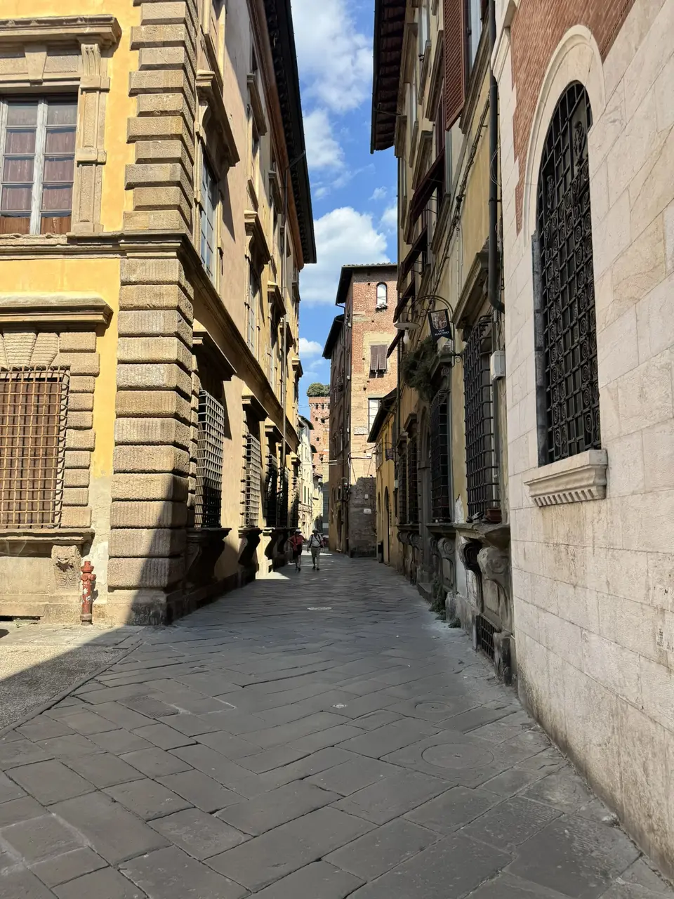 A vertical detail recorded near Guinigi Tower on June 29, 2025.