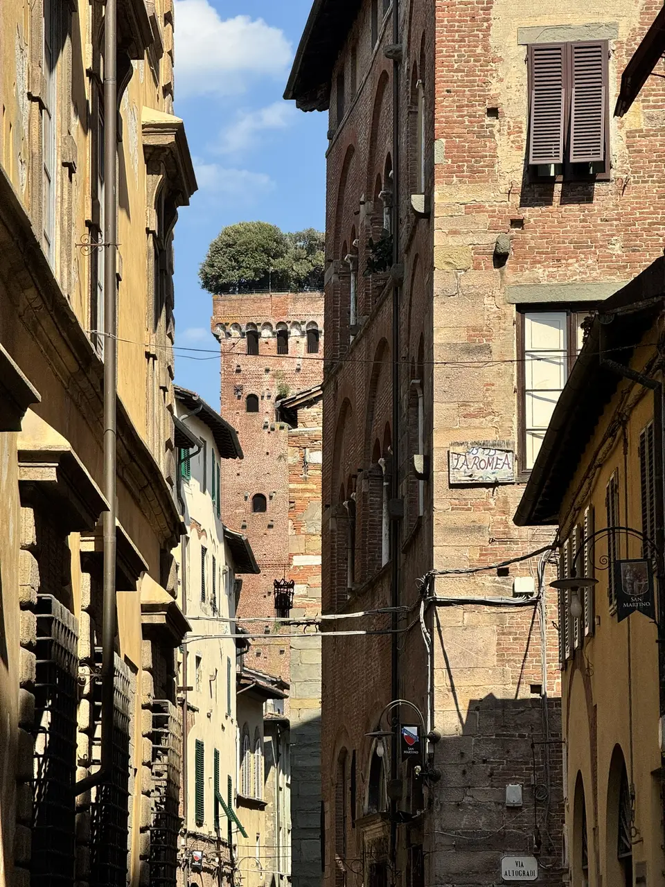 A vertical detail recorded near Lucca’s Renaissance walls on June 29, 2025.