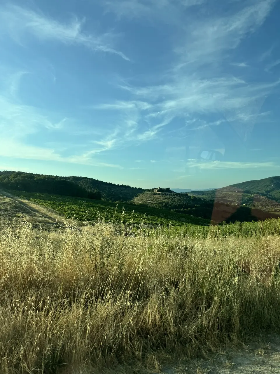 A vertical detail recorded near Lamole and the Chianti hills on June 30, 2025.