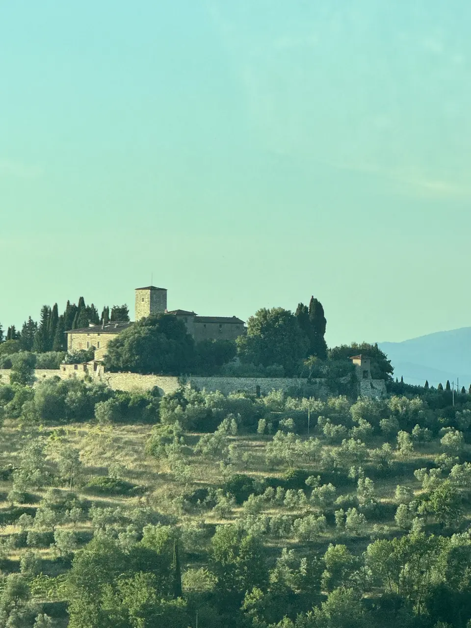 A vertical detail recorded near Lamole and the Chianti hills on June 30, 2025.