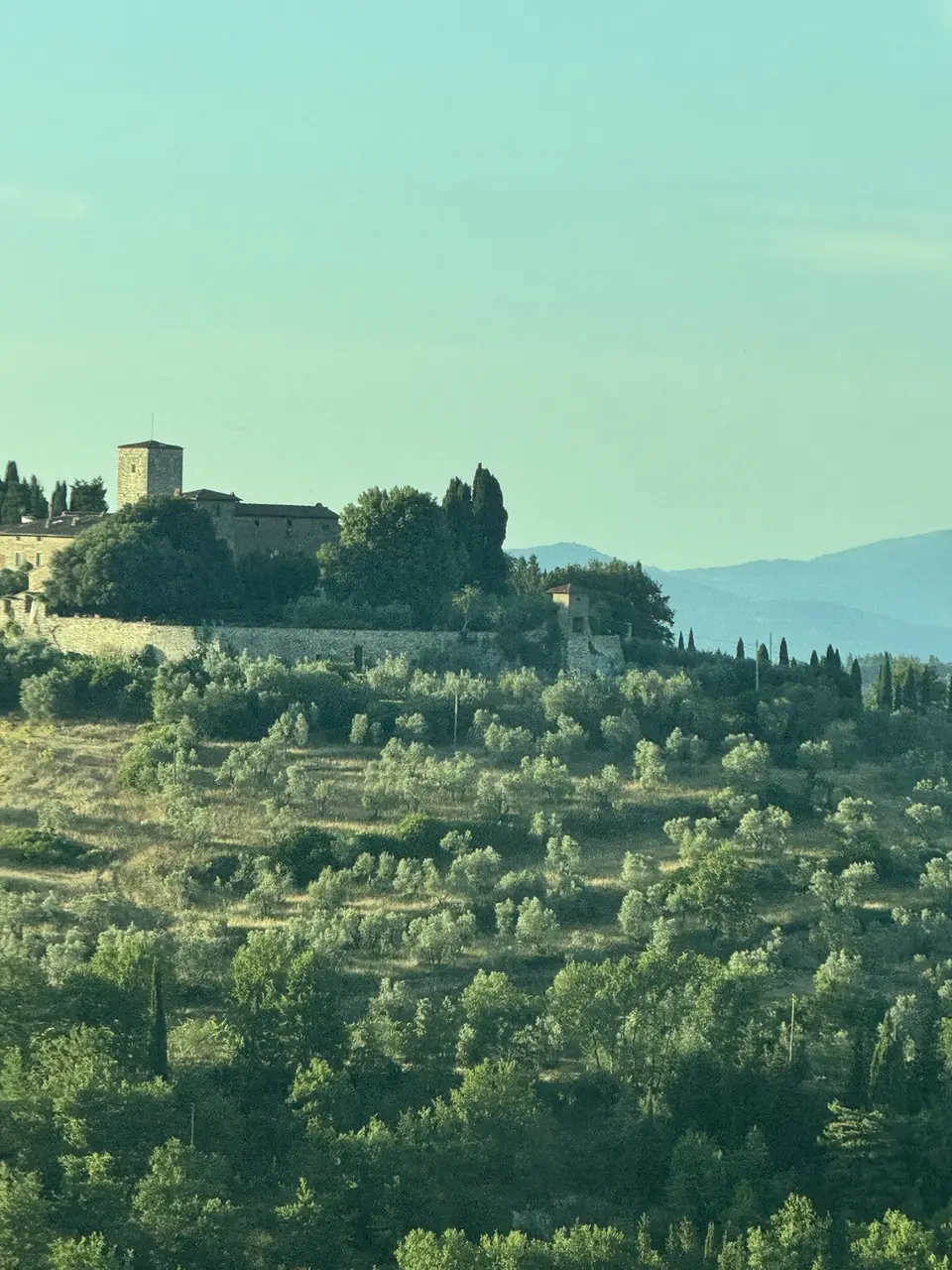 A vertical detail recorded near Lamole and the Chianti hills on June 30, 2025.